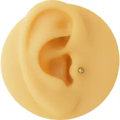 Kristal full taşlı gümüş renk cerrahi çelik helix dudak tragus piercing.