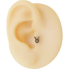 Boğa burcu sembollü gümüş renk cerrahi çelik tragus piercing.