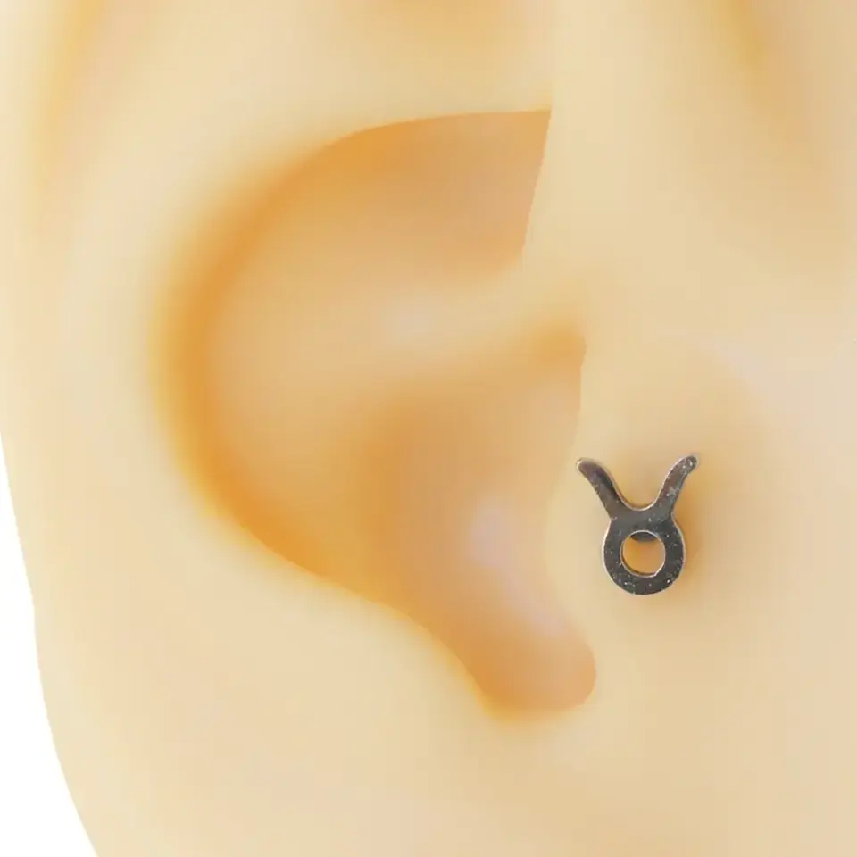 316L anti-alerjik cerrahi çelik boğa burcu helix küpesi detay görünümü.