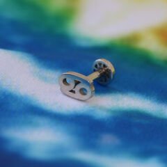 Yengeç Burcu 6x1,2mm Çelik Labret Piercing, Tragus-Lobe-Helix-Kıkırdak