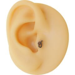 Aslan Burcu 6x1,2mm Çelik Labret Piercing, Tragus-Lobe-Helix-Kıkırdak