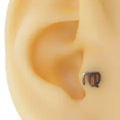 Başak burcu sembollü gümüş renk cerrahi çelik tragus piercing