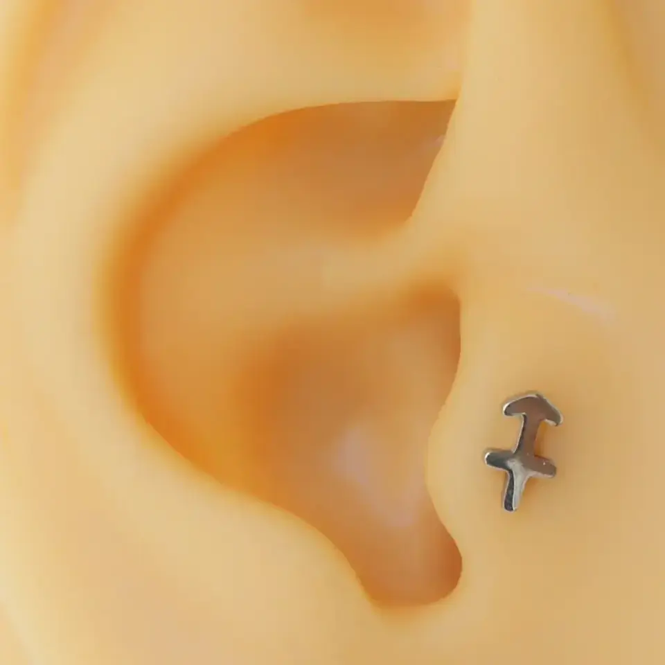 Yay burcu gümüş renk cerrahi çelik flatback helix piercing