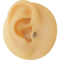 Yay Burcu 6x1,2mm Çelik Labret Piercing, Tragus-Lobe-Helix-Kıkırdak