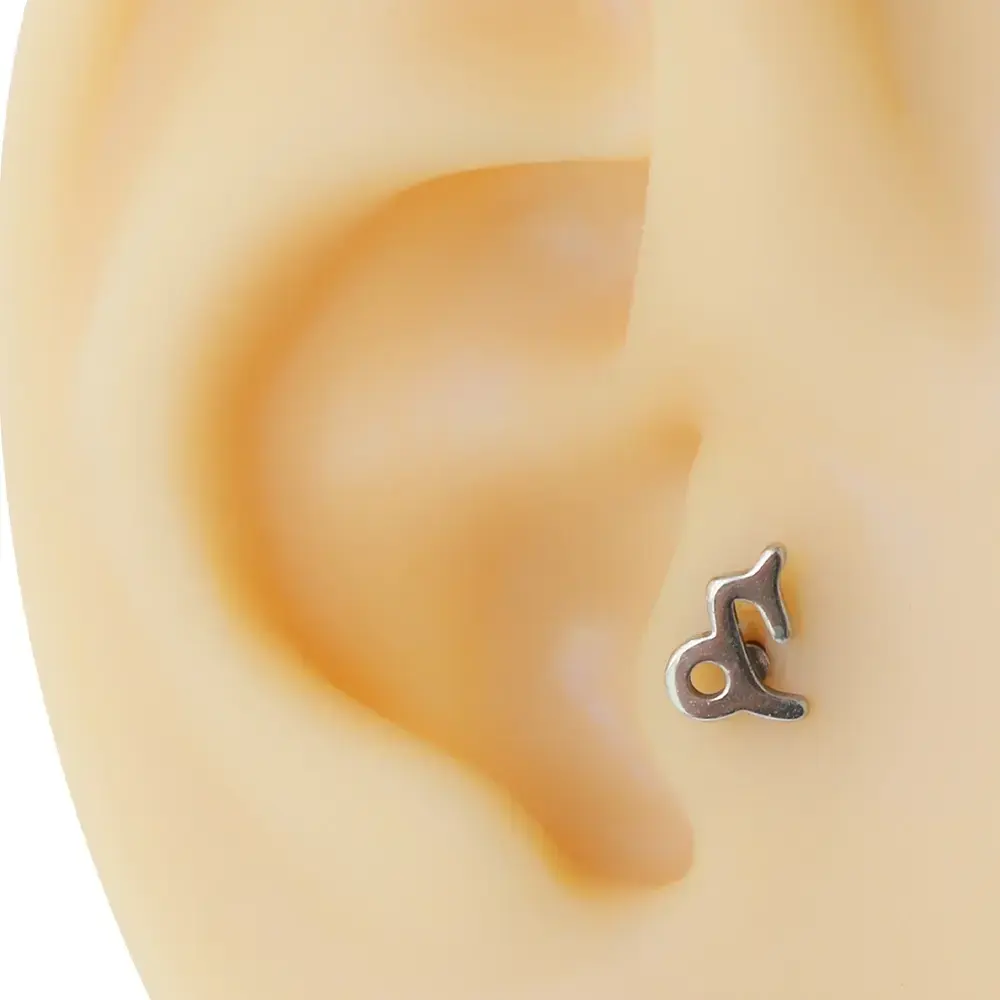 Oğlak burcu gümüş renk cerrahi çelik tragus piercing flatback model