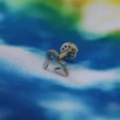 Oğlak burcu piercing sembol detayı ve parlak yüzey