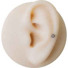 Taşlı Çelik Flatback Düz Bar Piercing, Tragus-Helix-Conch-Burun-Dudak-Kıkırdak