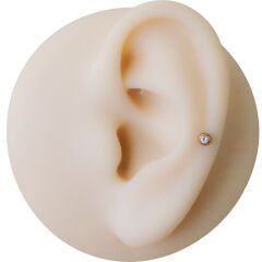 Taşlı Rose Çelik Flatback Düz Bar Piercing, Tragus-Helix-Conch-Burun-Dudak-Kıkırdak