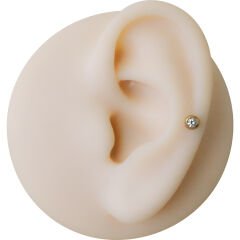 Taşlı Gold Çelik Flatback Düz Bar Piercing, Tragus-Helix-Conch-Burun-Dudak-Kıkırdak