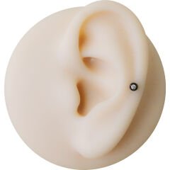 Taşlı Siyah Çelik Flatback Düz Bar Piercing, Tragus-Helix-Conch-Burun-Dudak-Kıkırdak