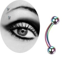 Toplu Gökkuşağı Çelik Banana Piercing, Kaş-Rook-Daith-Snug-Vertical Tragus