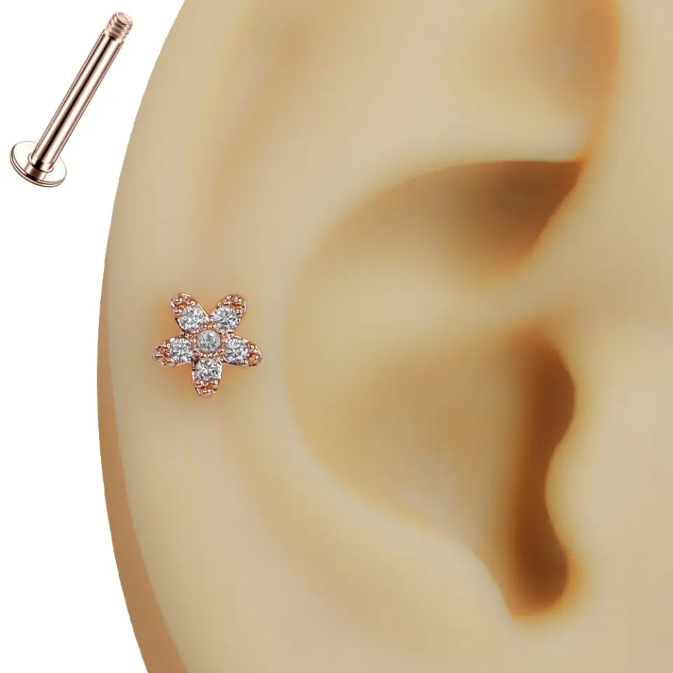 Kulağa takılmış zirkon taşlı çiçek rose altın kaplama tragus helix kıkırdak piercing modeli
