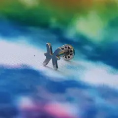 Balık Burcu Sembollü 316L Cerrahi Çelik Tragus Helix Piercing - Gümüş Renk