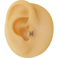 Balık Burcu Sembollü 316L Cerrahi Çelik Tragus Helix Piercing - Gümüş Renk