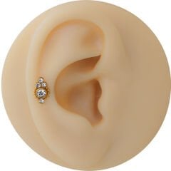 Dört Taş Toplu 7x1,2mm Gold Çelik Labret Piercing, Tragus-Lobe-Helix-Kıkırdak