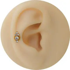 Altın renk zirkon taşlı markiz model cerrahi çelik tragus piercing