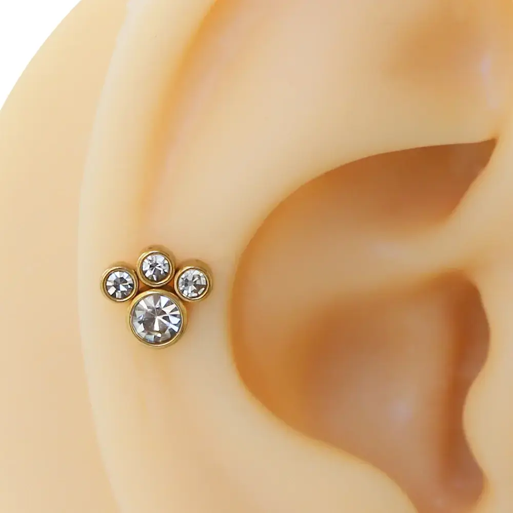 Altın renk pati modelli zirkon taşlı cerrahi çelik tragus piercing.