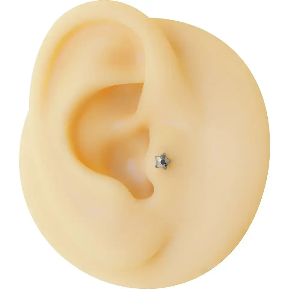 316L cerrahi çelik anti-alerjik yıldız figürlü helix conch kıkırdak küpesi.