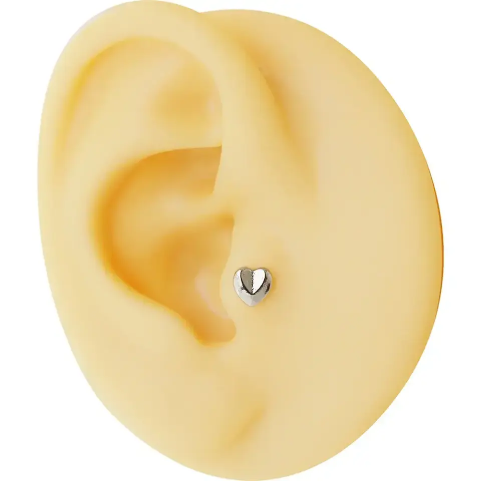 316L cerrahi çelik anti-alerjik kalp figürlü helix conch kıkırdak küpesi.