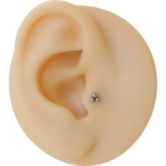 Üç Top 6x1,2mm Çelik Labret Piercing, Tragus-Lobe-Helix-Kıkırdak