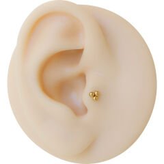 Üç Top 6x1,2mm Gold Çelik Labret Piercing, Tragus-Lobe-Helix-Kıkırdak