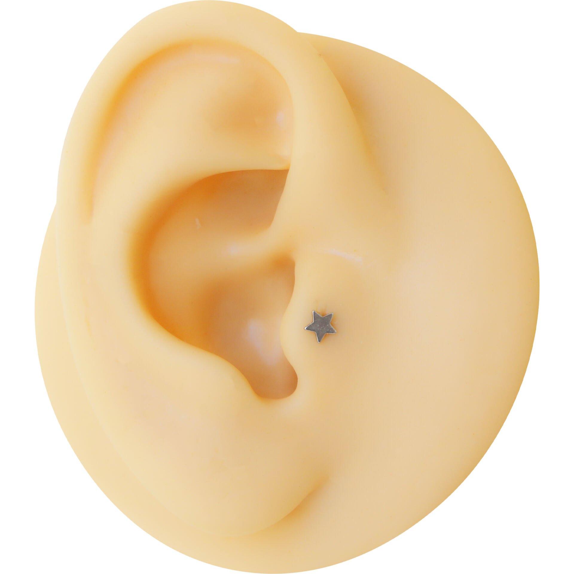 Yıldız Çelik Labret Piercing, Tragus-Lobe-Helix-Kıkırdak