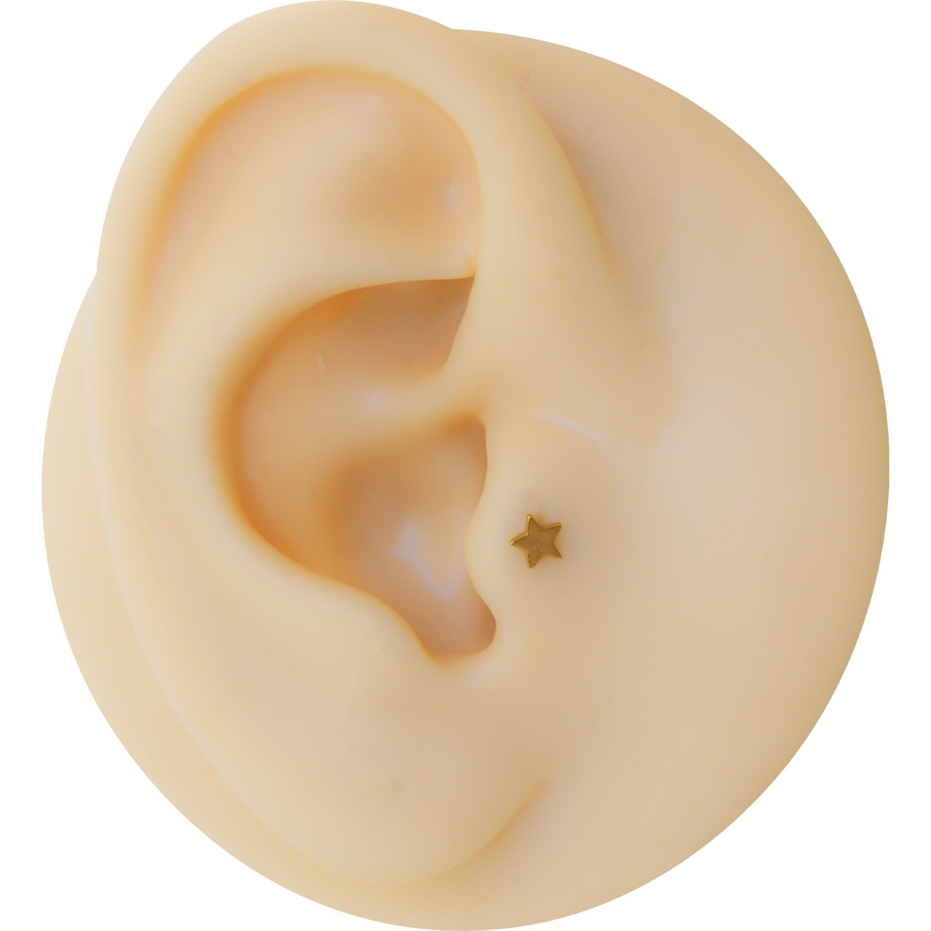 Yıldız Gold Çelik Labret Piercing, Tragus-Lobe-Helix-Kıkırdak