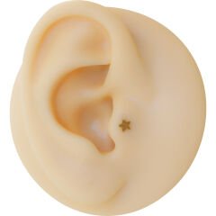 Yıldız Gold Çelik Labret Piercing, Tragus-Lobe-Helix-Kıkırdak