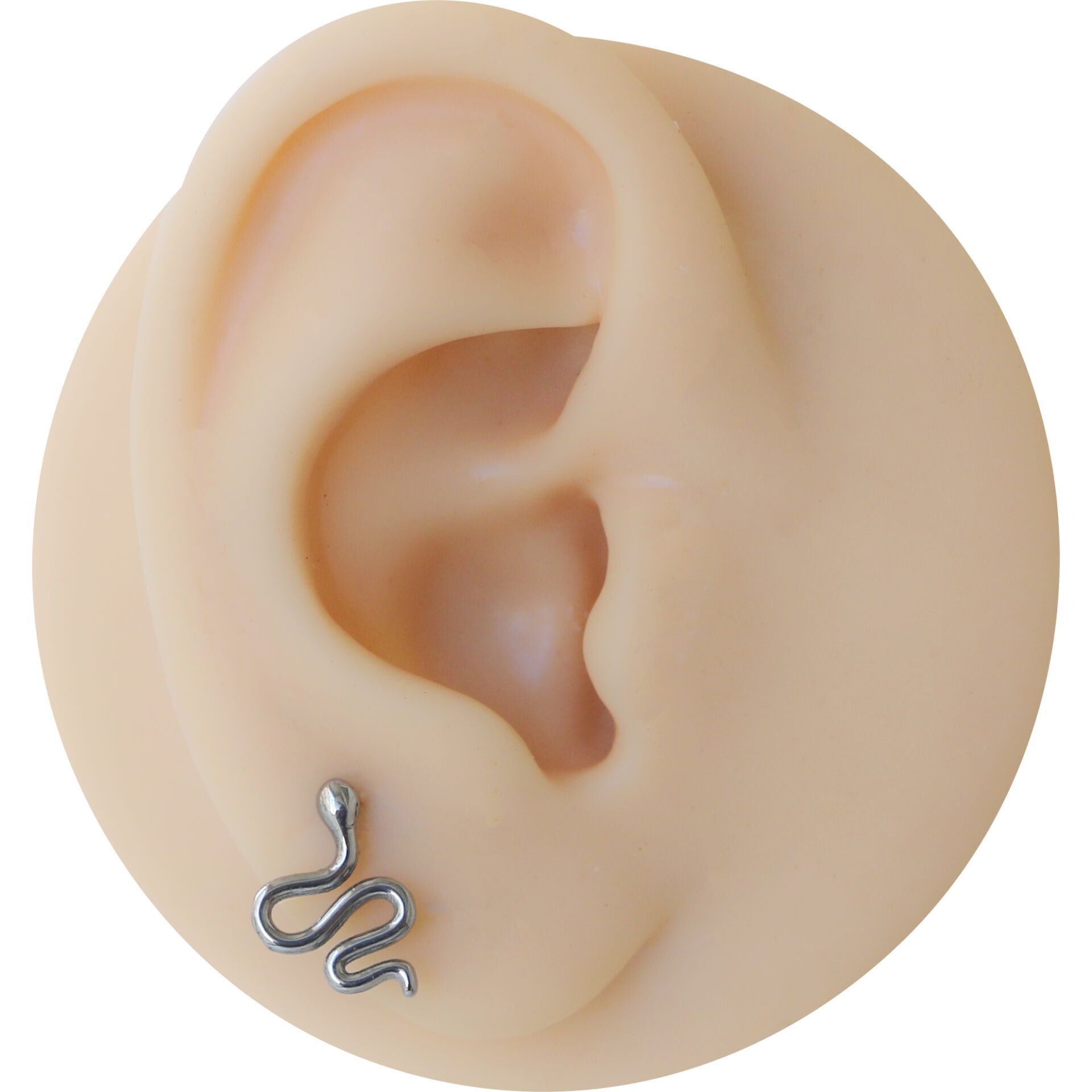 Yılan 6x1,2mm Çelik Labret Piercing, Tragus-Lobe-Helix-Kıkırdak