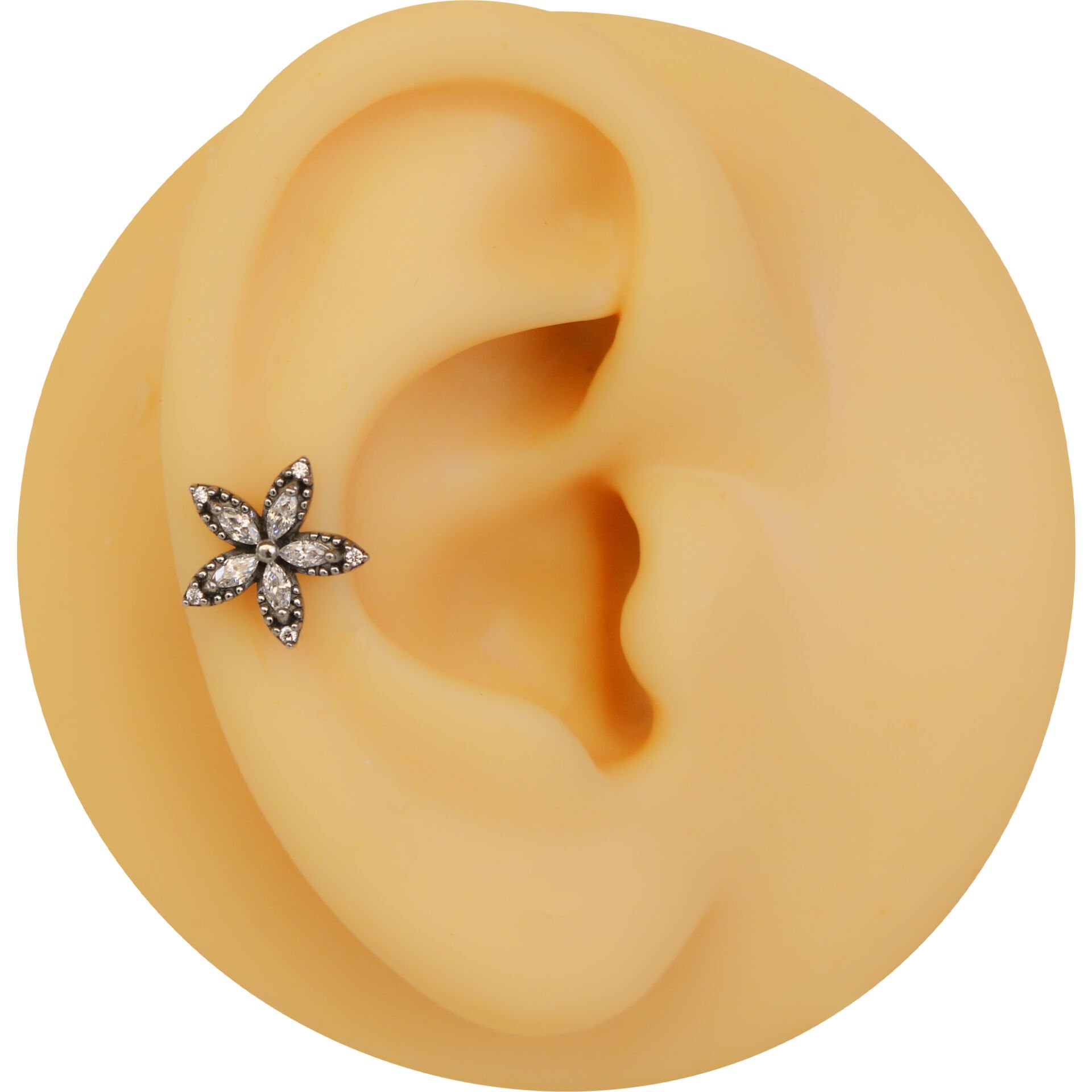 Beş Markiz Çiçek Zirkon 6x1,2mm Çelik Labret Piercing, Tragus-Lobe-Helix-Kıkırdak