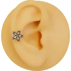 Arkası düz vidalı sistem gümüş beş markiz çiçek kıkırdak piercing