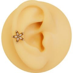 Beş Markiz Çiçek Zirkon 6x1,2mm Gold Çelik Labret Piercing, Tragus-Lobe-Helix-Kıkırdak