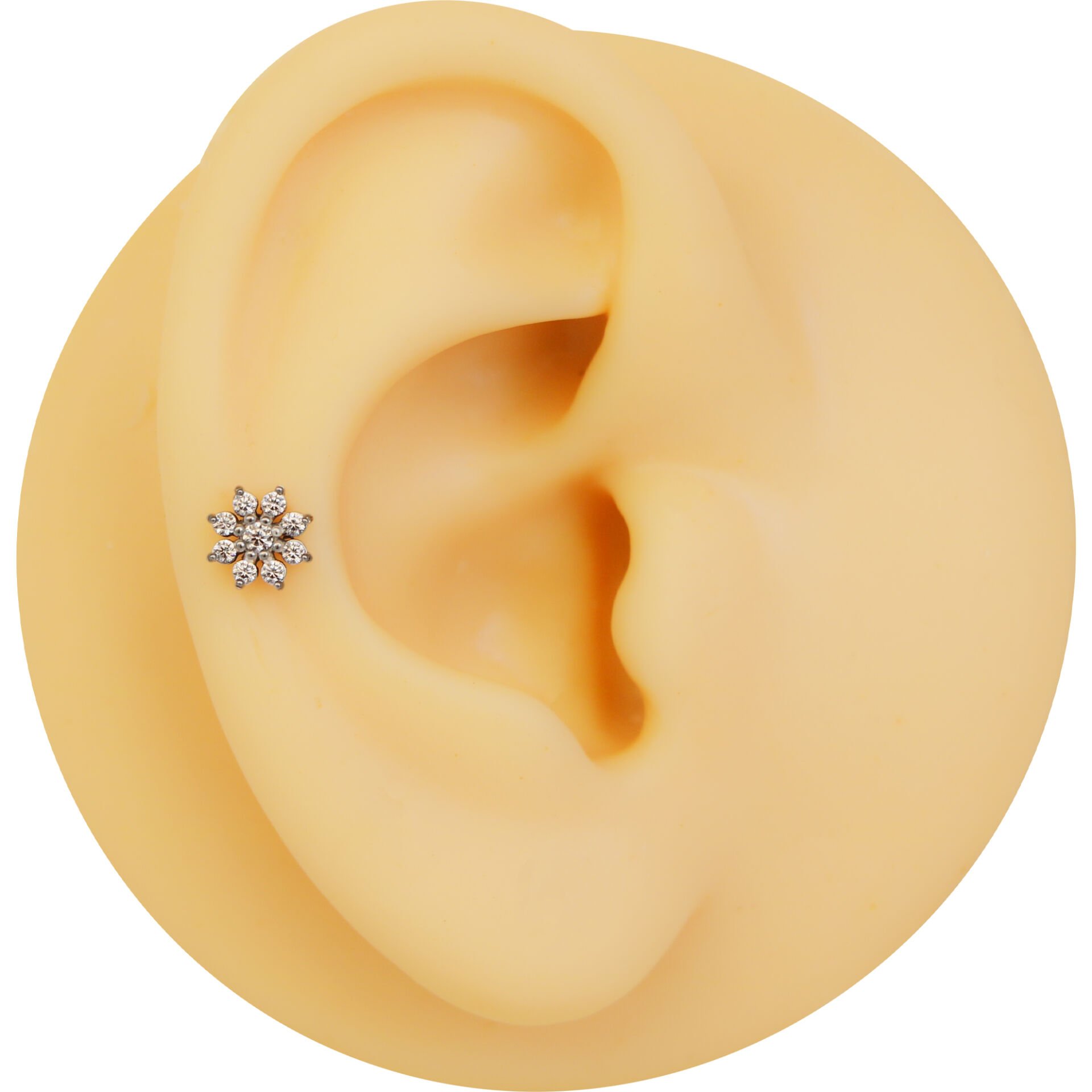 Papatya Zirkon 6x1,2mm Çelik Labret Piercing, Tragus-Lobe-Helix-Kıkırdak