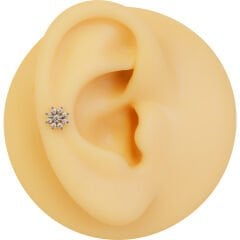 Papatya Zirkon 6x1,2mm Çelik Labret Piercing, Tragus-Lobe-Helix-Kıkırdak