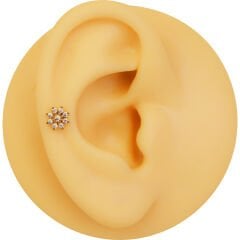 Papatya Zirkon 6x1,2mm Gold Çelik Labret Piercing, Tragus-Lobe-Helix-Kıkırdak