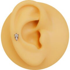 İki Zirkon Taş 6x1,2mm Çelik Labret Piercing, Tragus-Lobe-Helix-Kıkırdak