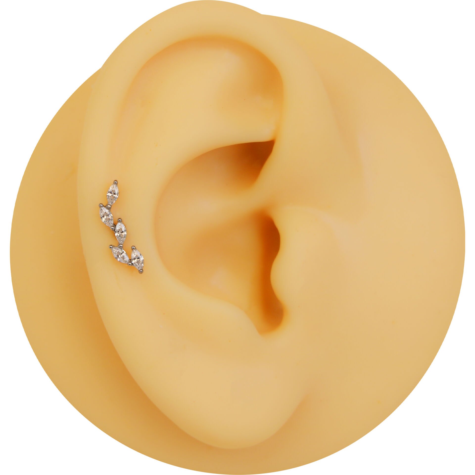 Beş Markiz Zirkon Taş 6x1,2mm Çelik Labret Piercing, Tragus-Lobe-Helix-Kıkırdak