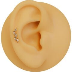 Beş Markiz Zirkon Taş 6x1,2mm Gold Çelik Labret Piercing, Tragus-Lobe-Helix-Kıkırdak