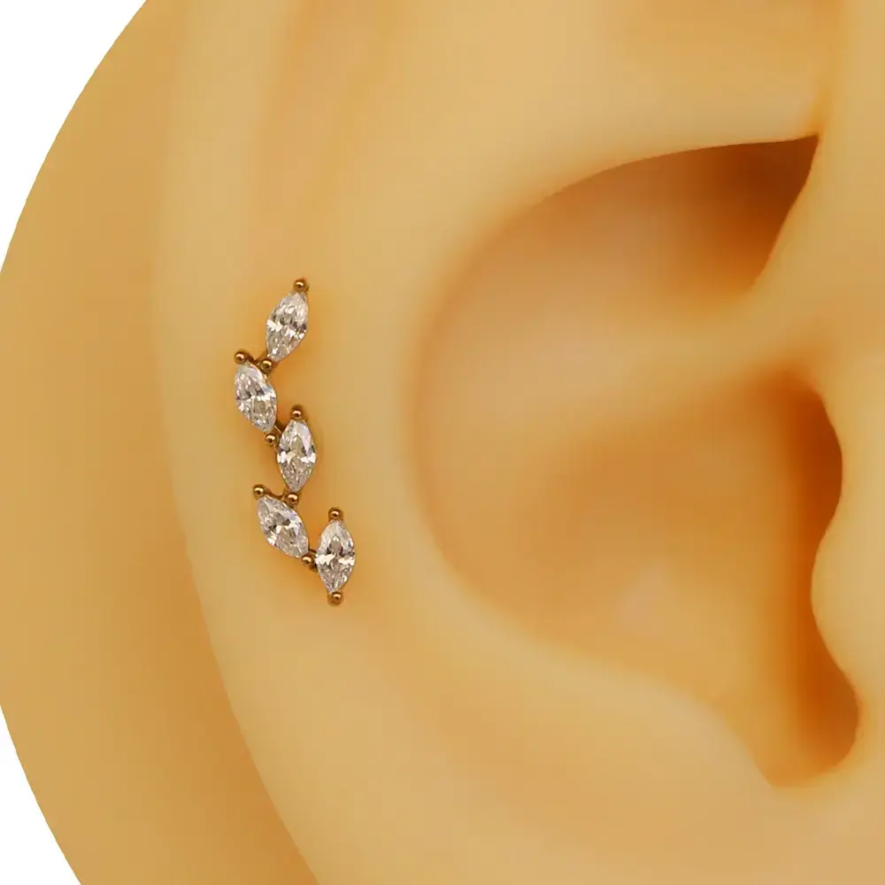 Beş markiz gold zirkon taşlı 316L cerrahi çelik tragus piercing flatback