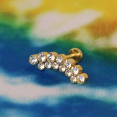 Kristal Taş Noktalar 6x1,2mm Gold Çelik Labret Piercing, Tragus-Lobe-Helix-Kıkırdak