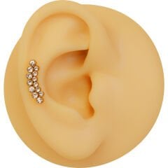 Kristal Taş Noktalar 6x1,2mm Gold Çelik Labret Piercing, Tragus-Lobe-Helix-Kıkırdak
