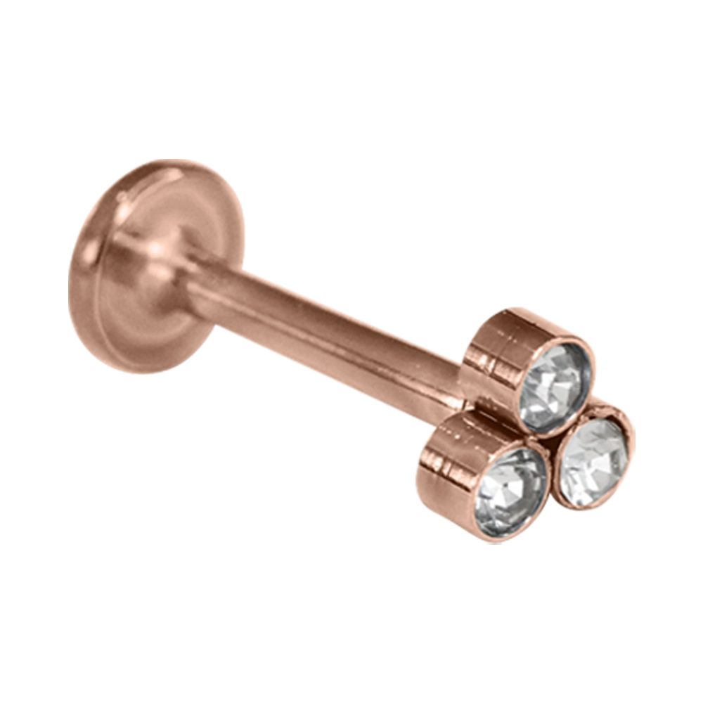 Rose, gümüş, gökkuşağı, siyah ve sarı renk seçeneklerine sahip 316L cerrahi çelik kıkırdak helix piercing tasarımı