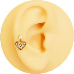 Kalpli Sallantılı Zirkon 6x1,2 mm Gold Çelik Piercing, Helix-Kıkırdak-Lobe-Auricle