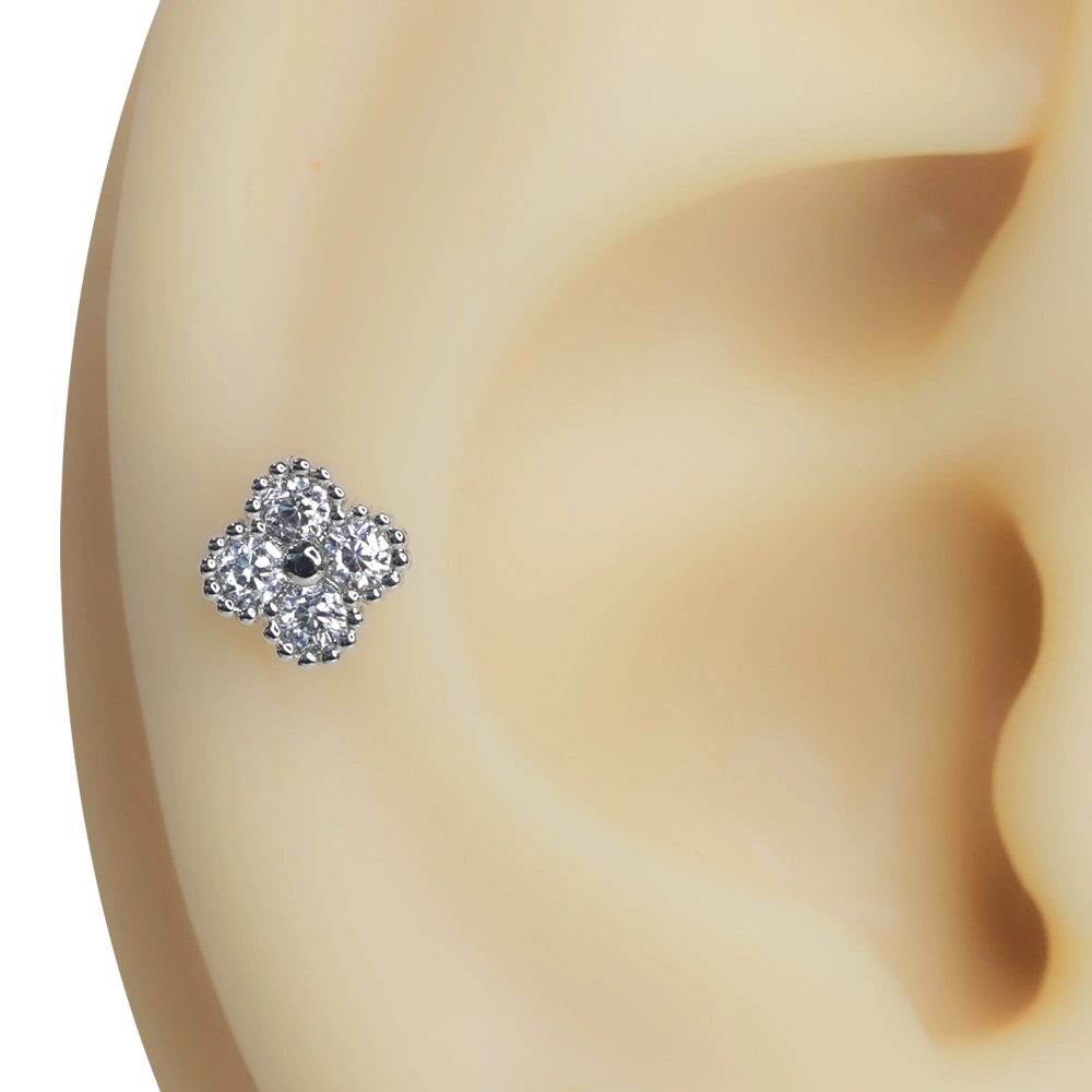Kulak üzerinde sergilenen zirkon taşlı dört yapraklı yonca tragus helix kıkırdak piercing