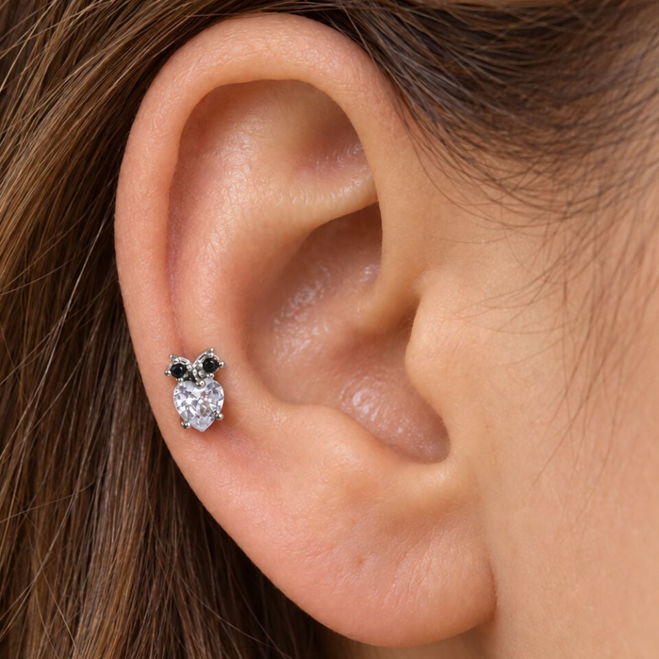 baykus-helix-piercing