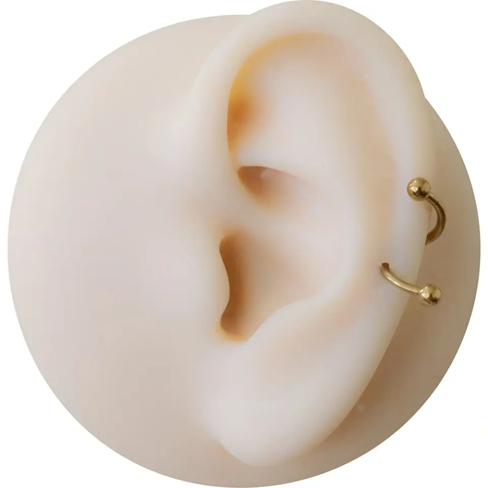 Dudak ve helix bölgesinde sergilenen altın kararmayan toplu spiral dudak kıkırdak halka piercing