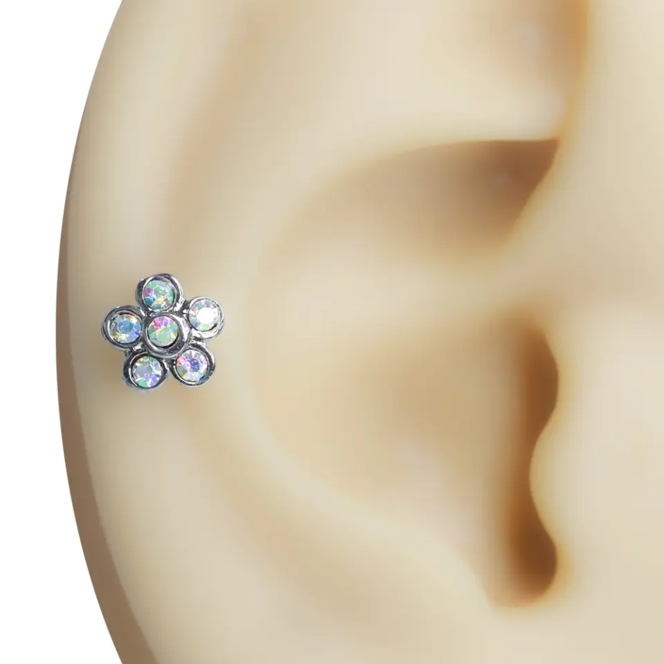 Kulak üzerinde sergilenen papatya formlu zirkon taşlı tragus helix kıkırdak piercing
