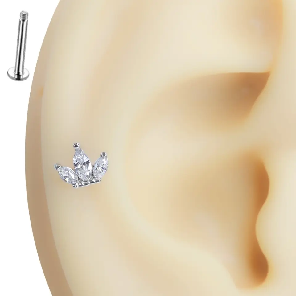 Kulak kıkırdak bölgesinde sergilenen zirkon taşlı taç figürlü tragus helix kıkırdak piercing