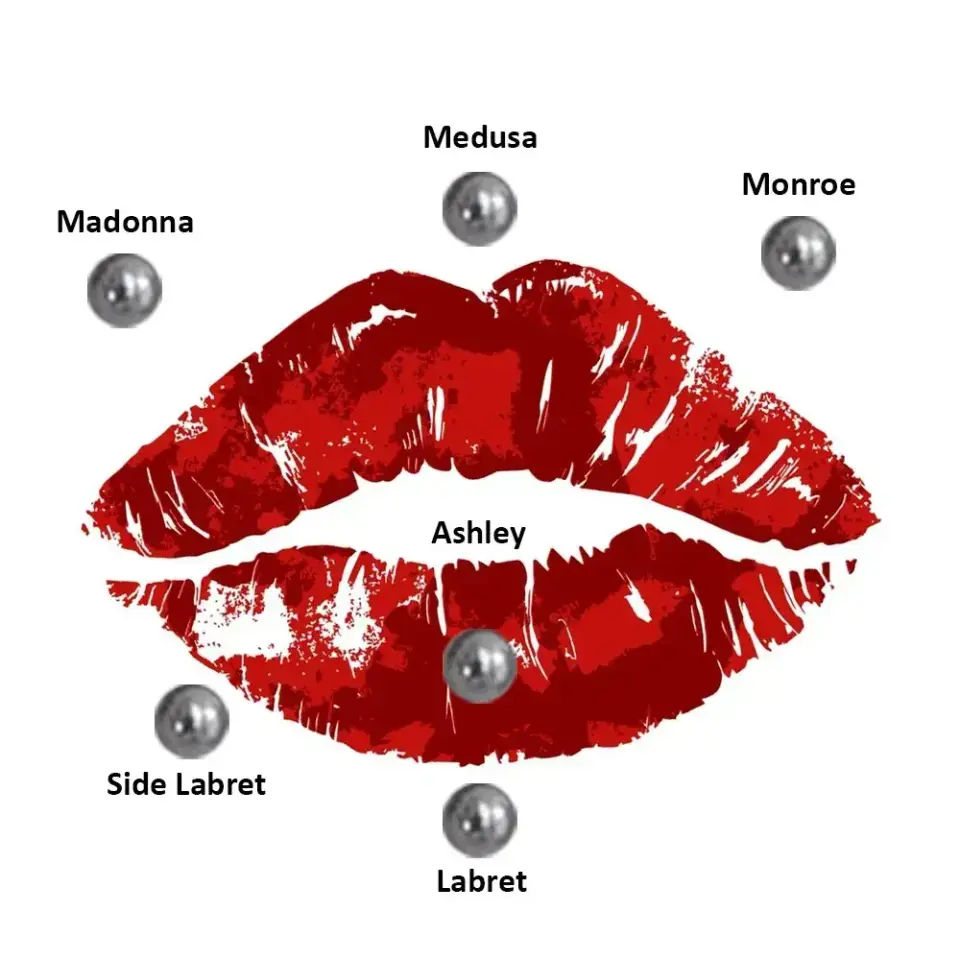 toplu dudak piercing bölgelerinin şema resmi