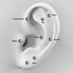 Kulak tragus bölgesinde kullanılan flatback cerrahi çelik piercing